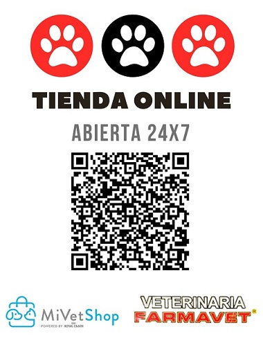 QR de Acceso a la tienda